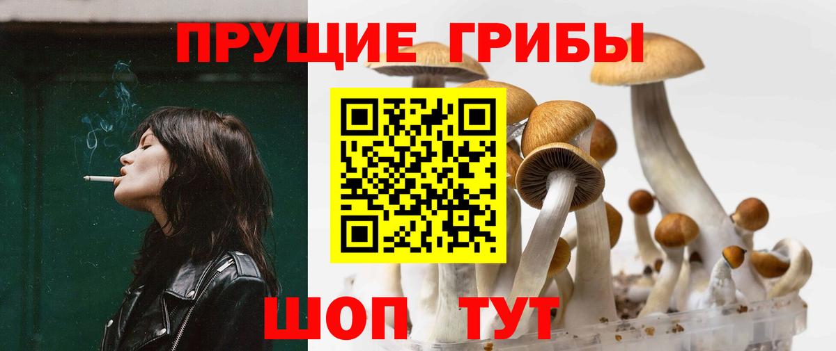 Псилоцибиновые грибы Magic Shrooms Карпинск